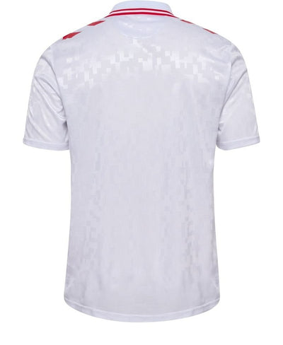 Denmark Mens Away Soccer Kit 2024-2025