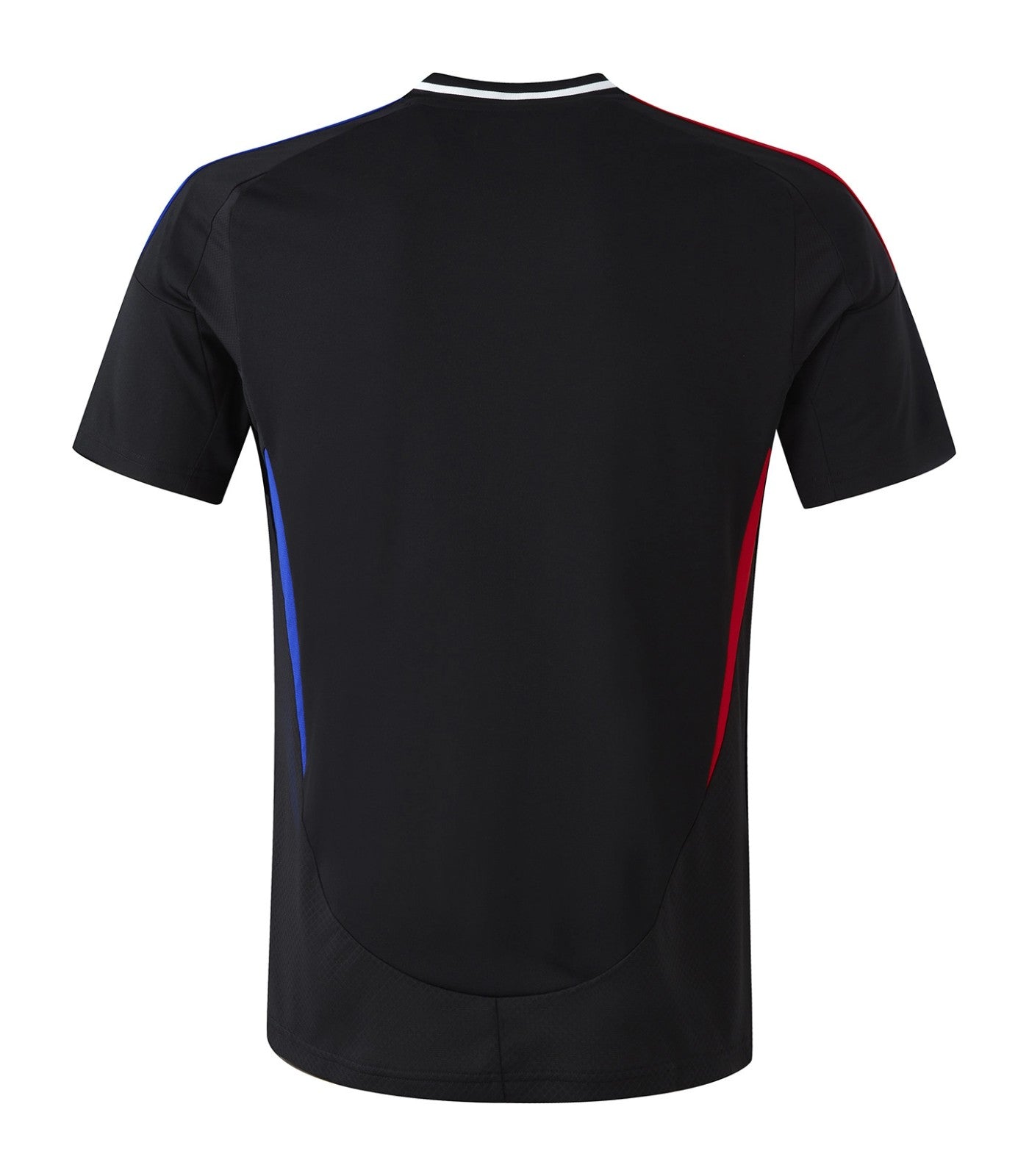 Olympique Lyonnais Mens Away Soccer Kit 2024-2025