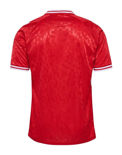 Denmark Mens Home Soccer Kit 2024-2025